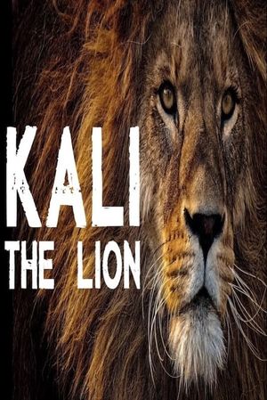 Kali the Lion's poster