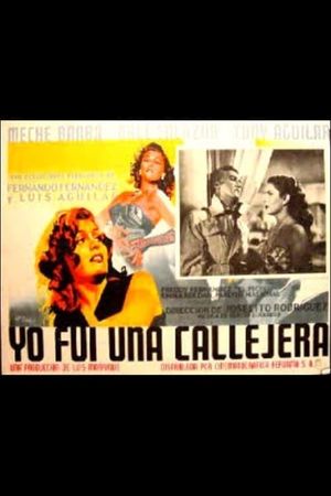 Yo fui una callejera's poster