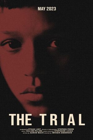 The Trial's poster