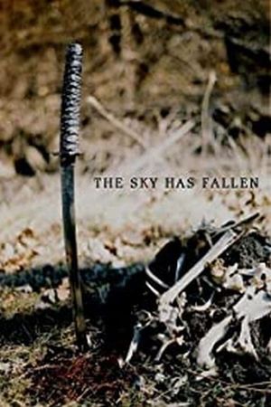 The Sky Has Fallen's poster image