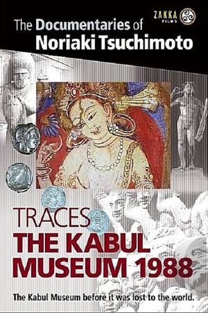 Traces: The Kabul Museum 1988's poster