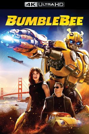 Bumblebee's poster