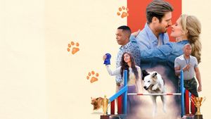Romance to the Rescue's poster