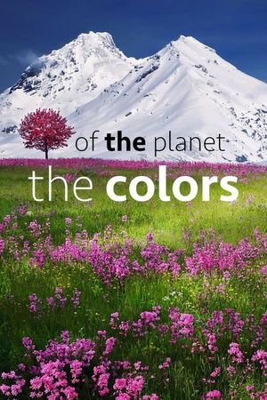 The Colors of the Planet's poster