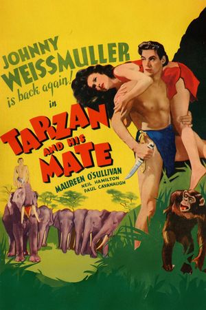 Tarzan and His Mate's poster