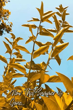 Now that Summer is Gone...'s poster