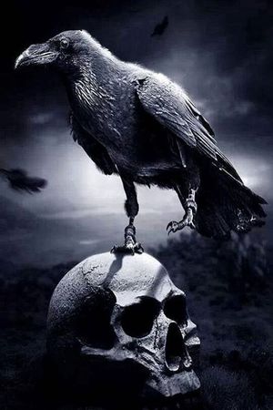Evil Dark's poster