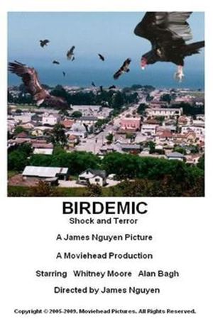 Birdemic: Shock and Terror's poster