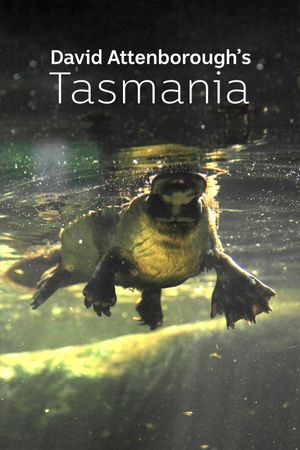 David Attenborough's Tasmania's poster