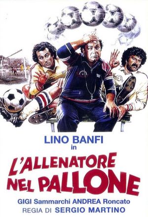 L'allenatore nel pallone's poster