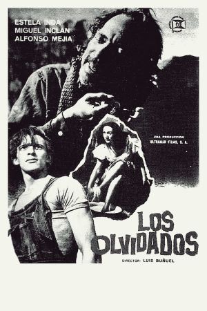 The Young and the Damned's poster