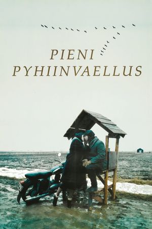 Pieni pyhiinvaellus's poster