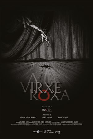 A virxe roxa's poster image