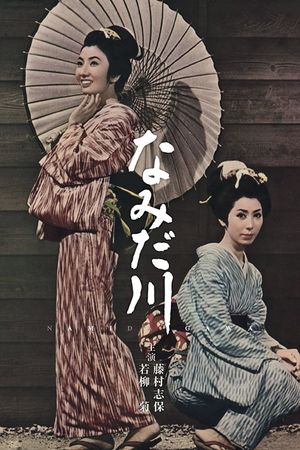 The Homely Sister's poster