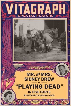 Playing Dead's poster