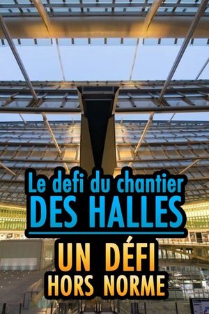 Le chantier des Halles : un défi hors norme's poster