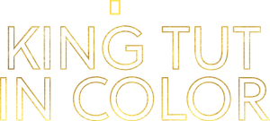 King Tut In Color's poster