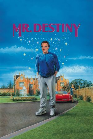 Mr. Destiny's poster