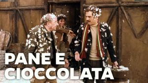 Bread and Chocolate's poster