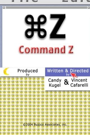 Command Z's poster