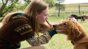 A Dog's Purpose's poster