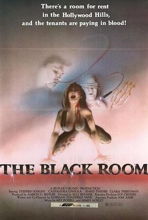 The Black Room's poster