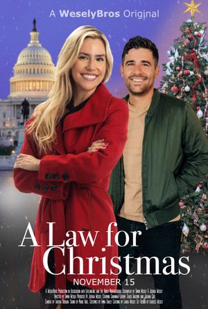 A Law for Christmas's poster