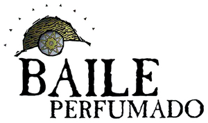 Baile Perfumado's poster