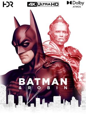 Batman & Robin's poster