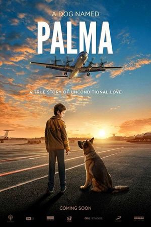 Palma's poster