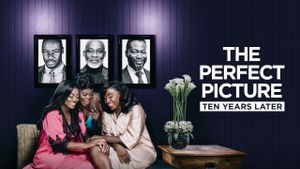 The Perfect Picture: Ten Years Later's poster