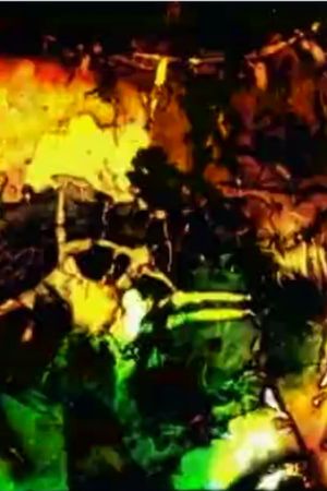 Pan of the Landscape's poster image