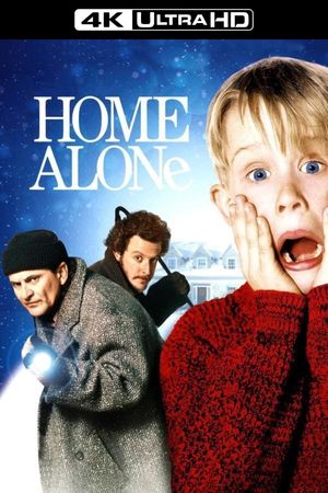 Home Alone's poster