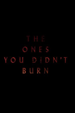 The Ones You Didn't Burn's poster image