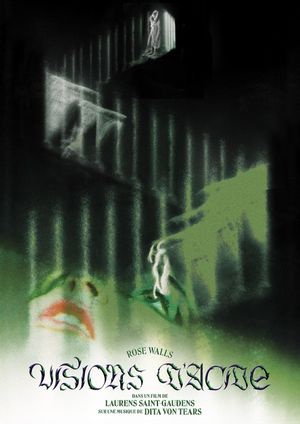 Visions of Acid's poster