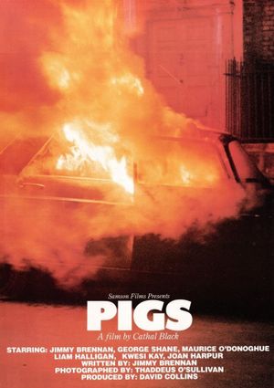 Pigs's poster