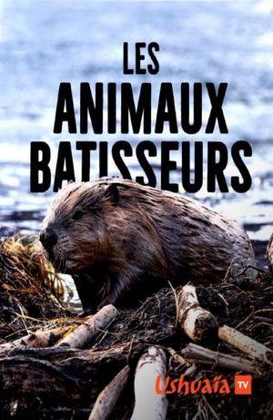 Les Animaux bâtisseurs's poster image