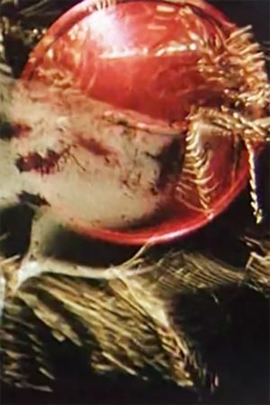 Vanitas's poster