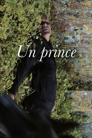 A Prince's poster