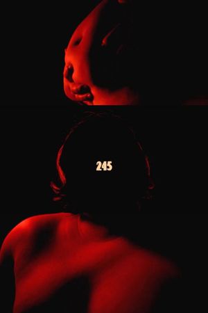 245's poster
