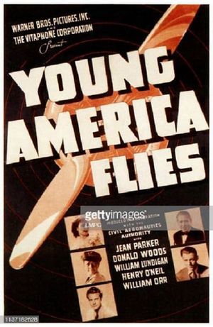 Young America Flies's poster image