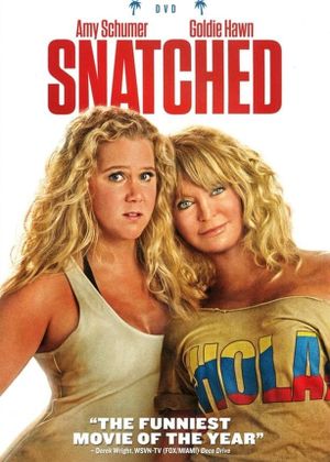 Snatched's poster