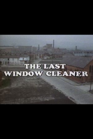 The Last Window Cleaner's poster