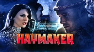 Haymaker's poster