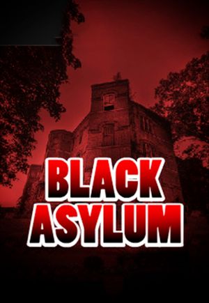 Black Asylum's poster