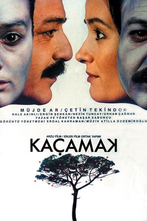 Kaçamak's poster