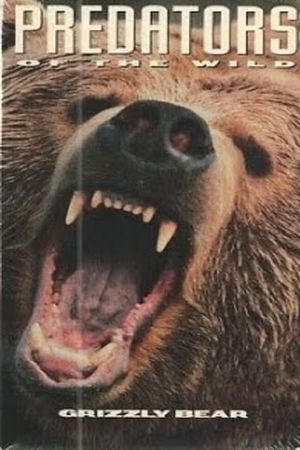 Predators of the Wild: Grizzly Bear's poster image