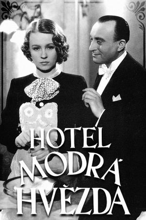 The Blue Star Hotel's poster