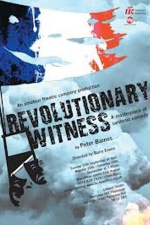 Revolutionary Witness's poster