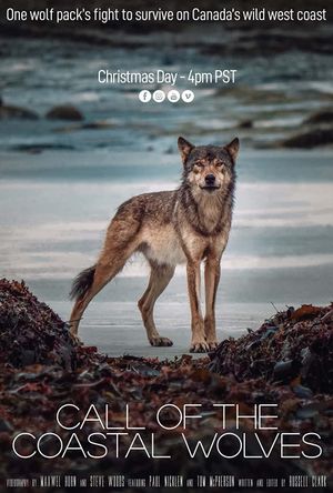 Call Of The Coastal Wolves's poster